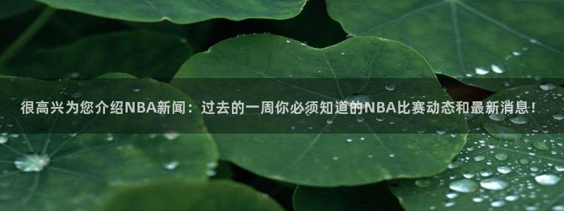 新闻图片