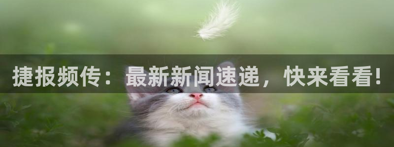 新闻图片