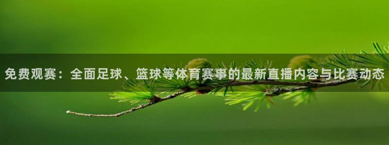 新闻图片