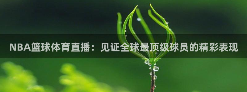 NBA篮球体育直播：见证全球最顶级球员的精彩表现