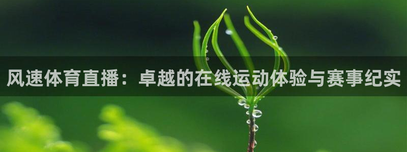 风速体育直播：卓越的在线运动体验与赛事纪实