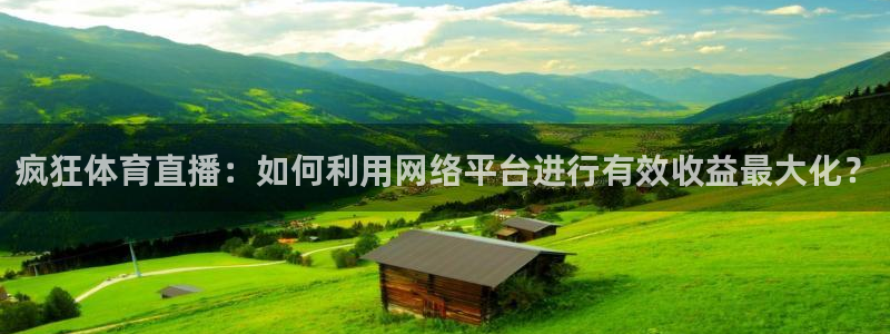 疯狂体育直播：如何利用网络平台进行有效收益最大化？