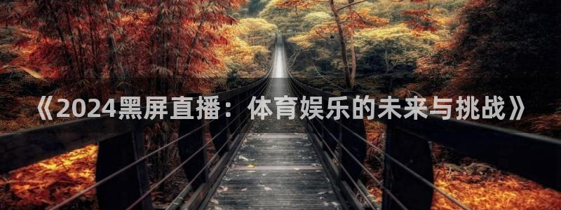 《2024黑屏直播：体育娱乐的未来与挑战》
